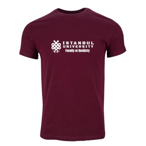 Istanbul Üniversitesi Dis Hekimligi Model 1