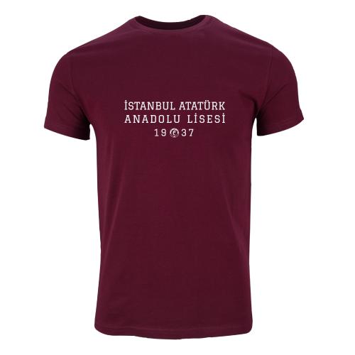 Istanbul Atatürk Anadolu Lisesi Model 2
