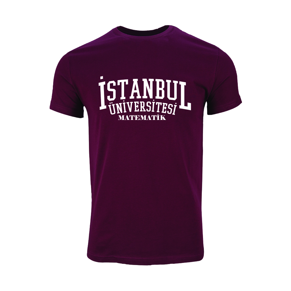 Istanbul Üniversitesi Matematik Model 1